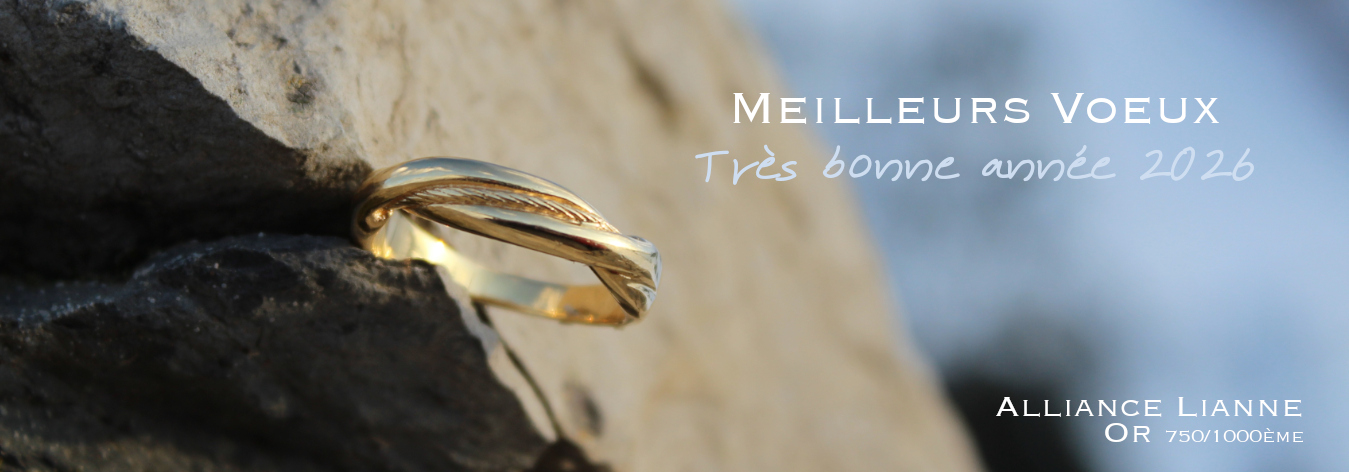 BONNE ANNEE 2026